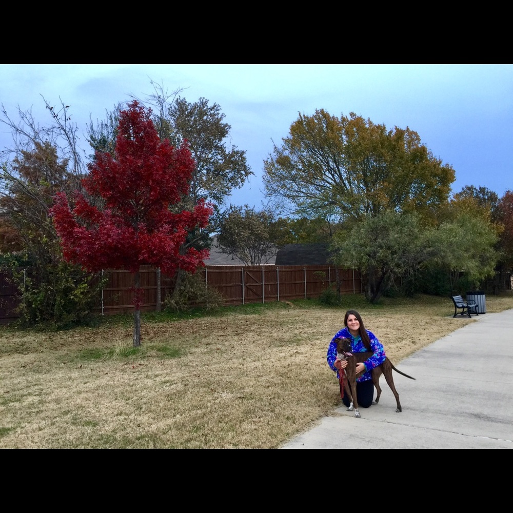 Hello, my name is Ashley!